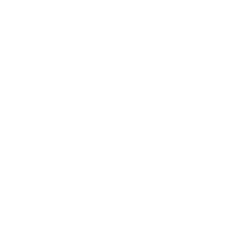 Queens Elite Medical Clinic logo in white